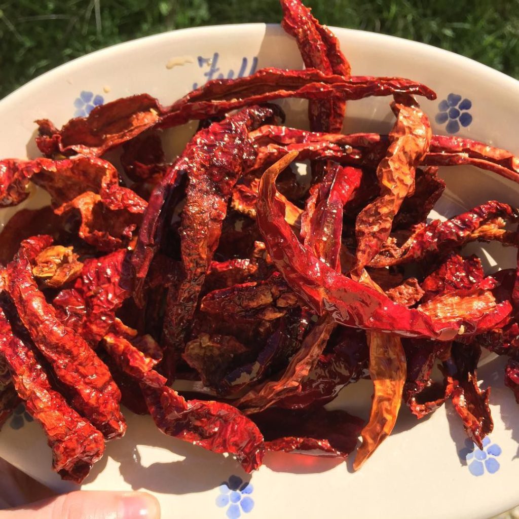 Peperone Calabrese essiccato e fritto, i classici peperoni cruschi